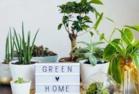 Sustainable Living - 10 Best Eco Friendly Home Decor Products